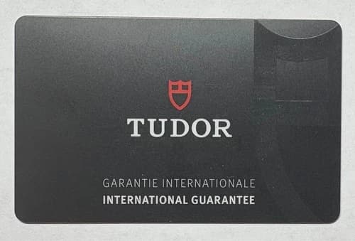 Tudor Black Bay 31 — 79600